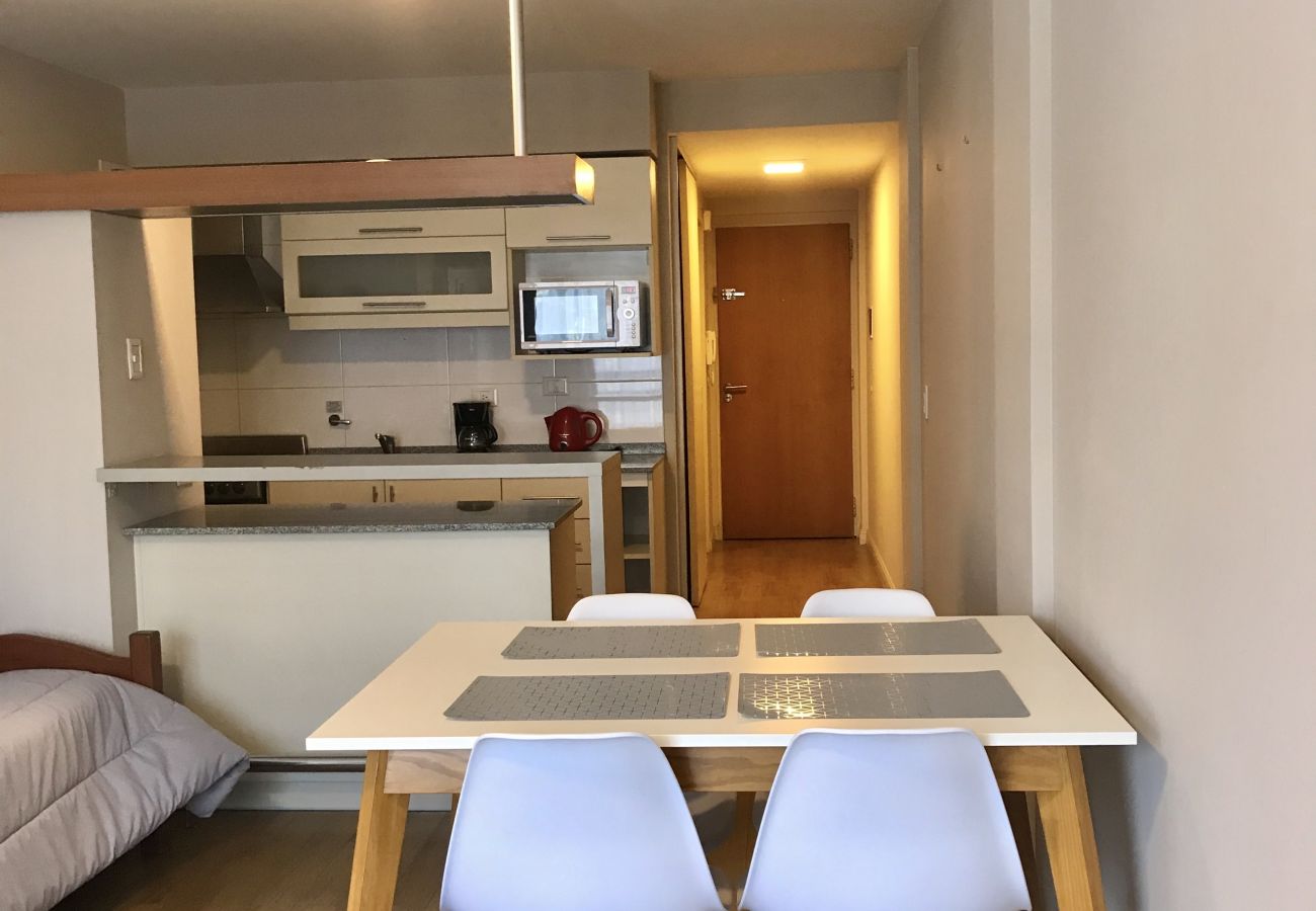 Estudio en San Carlos de Bariloche - Dto. Las Vasquitas