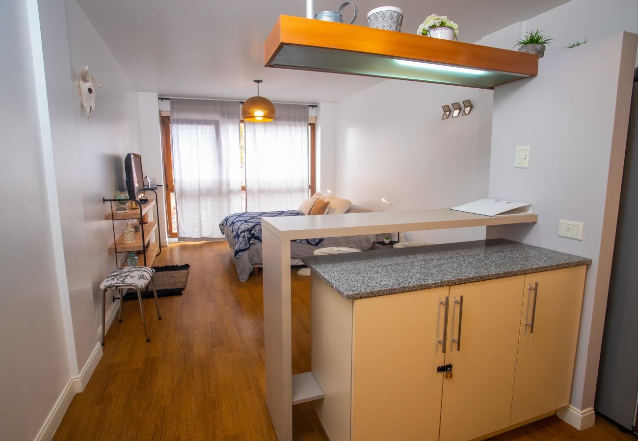Estudio en San Carlos de Bariloche - La Dorita