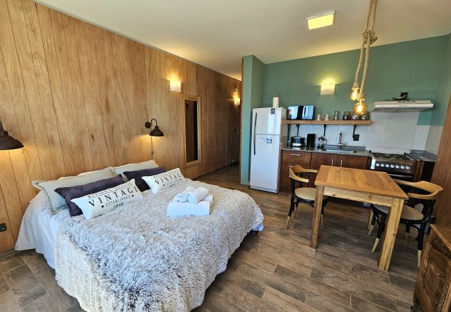 Estudio en San Carlos de Bariloche - El Suizo II departamento con vista al lago y Terra Estudio en San Carlos de Bariloche - El Suizo II departamento con vista al lago y Terra