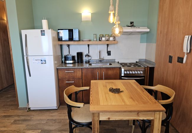 Estudio en San Carlos de Bariloche - El Suizo II departamento con vista al lago y Terra Estudio en San Carlos de Bariloche - El Suizo II departamento con vista al lago y Terra