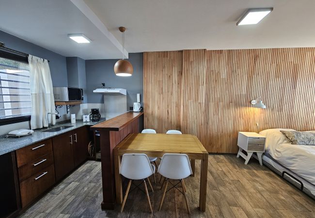 Estudio en San Carlos de Bariloche - Suizo I con vista al lago, Terraza y Estac. Estudio en San Carlos de Bariloche - Suizo I con vista al lago, Terraza y Estac.