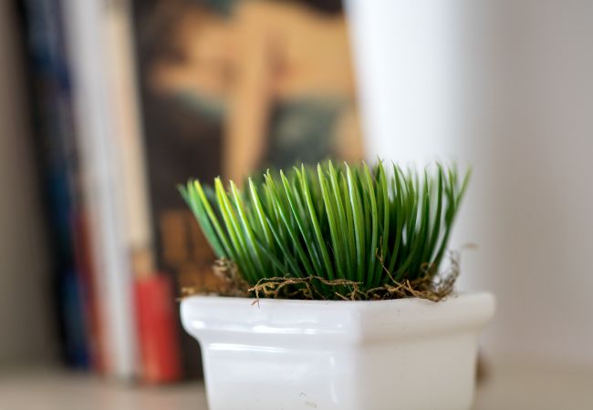 Casa en San Carlos de Bariloche - Sakura, perfecto para 4 con parrilla y Jardín Casa en San Carlos de Bariloche - Sakura, perfecto para 4 con parrilla y Jardín