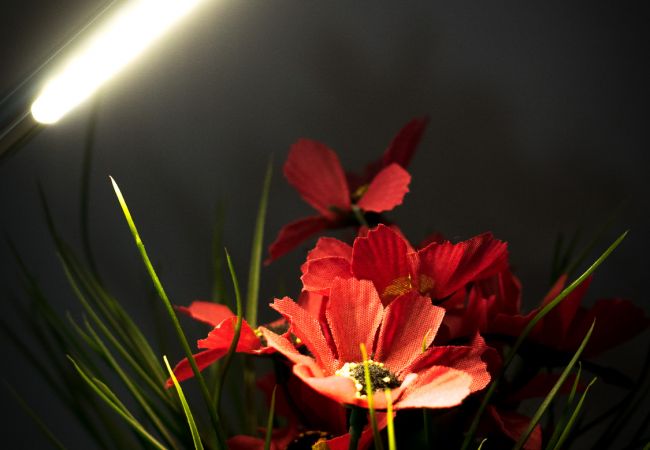 Casa en San Carlos de Bariloche - Sakura, perfecto para 4 con parrilla y Jardín Casa en San Carlos de Bariloche - Sakura, perfecto para 4 con parrilla y Jardín