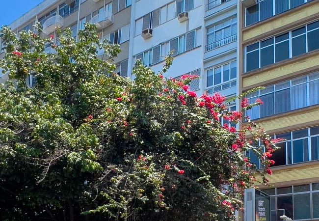 Apartamento en Rio de Janeiro - VP802 (Zona1) Apartamento en Rio de Janeiro - VP802 (Zona1)
