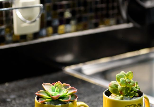 Apartamento en Rio de Janeiro - BC101 (Zona2) Apartamento en Rio de Janeiro - BC101 (Zona2)