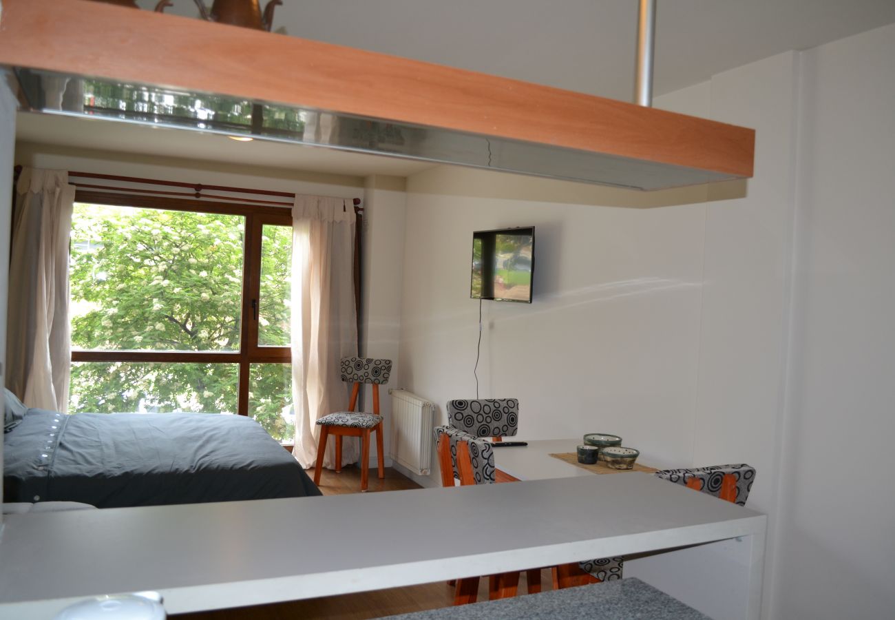Estudio en San Carlos de Bariloche - Dto. Ilusion, en pleno centro