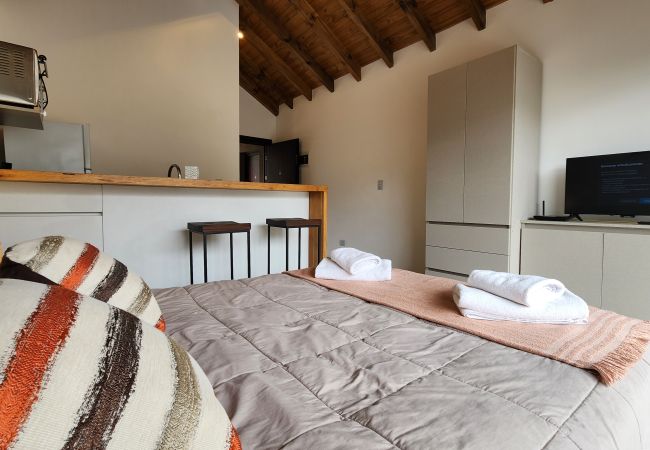 Estudio en San Martin de los Andes - Aluen 2D - Andarlibre Estudio en San Martin de los Andes - Aluen 2D - Andarlibre