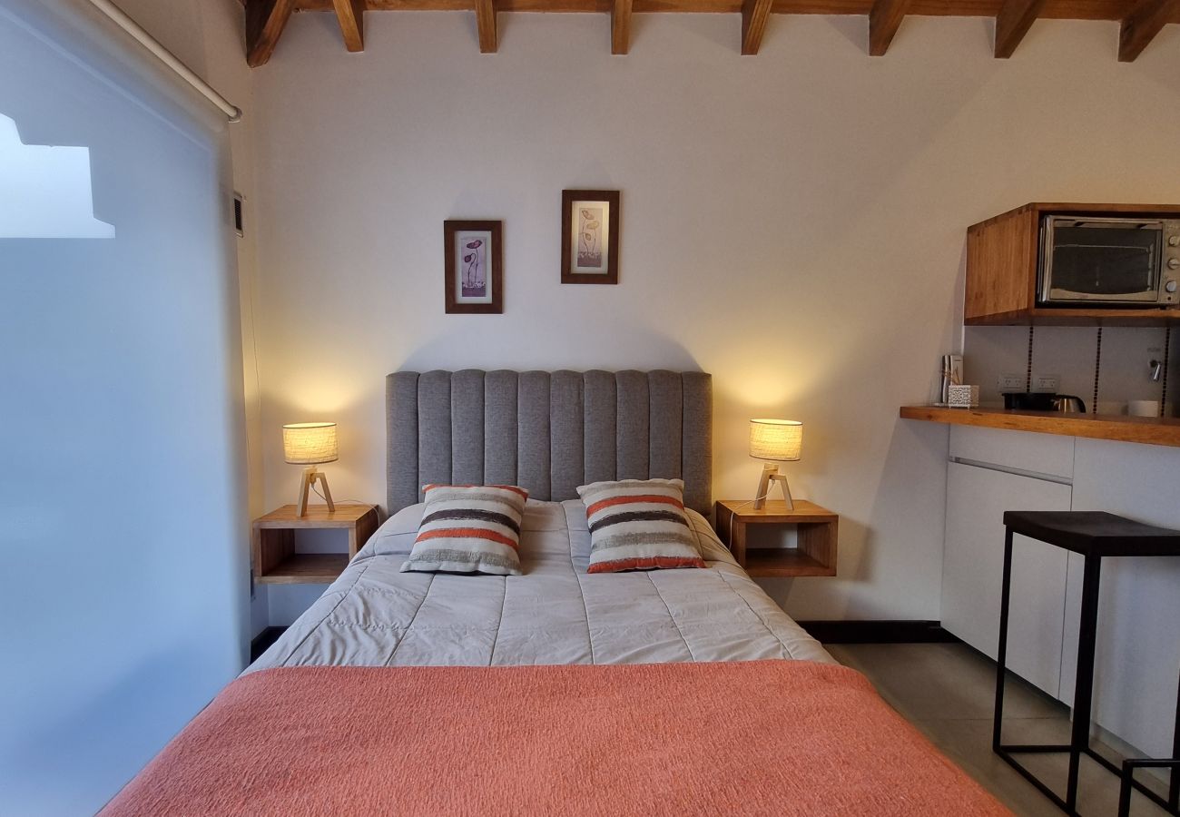 Estudio en San Martin de los Andes - Aluen 2D - Andarlibre