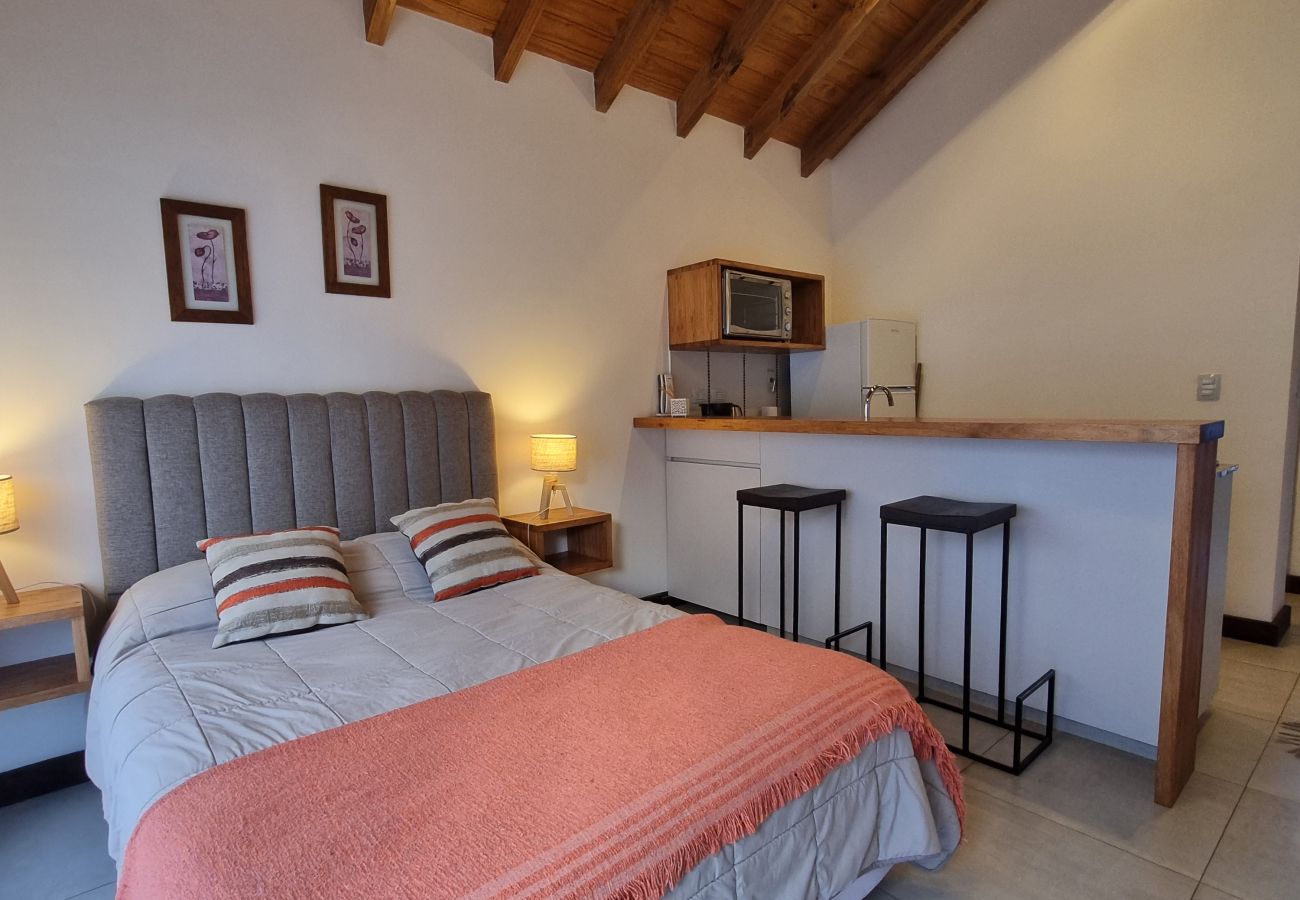 Estudio en San Martin de los Andes - Aluen 2D - Andarlibre
