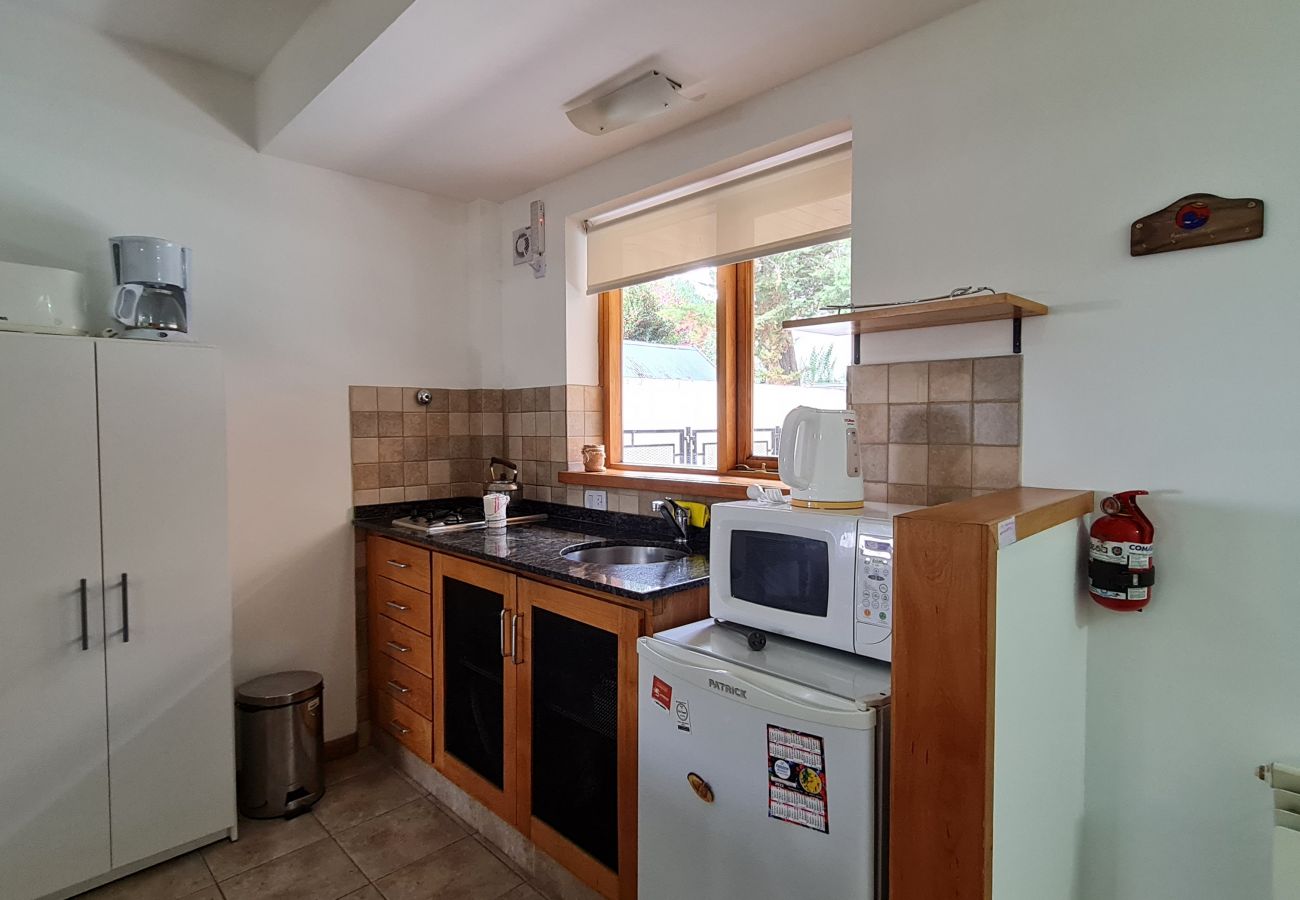 Apartamento en San Martin de los Andes - Golondrinas 101 - Andarlibre
