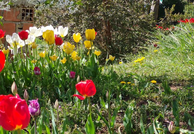 Apartamento en San Carlos de Bariloche - Casita Blanca - CON WIFI! Apartamento en San Carlos de Bariloche - Casita Blanca - CON WIFI!