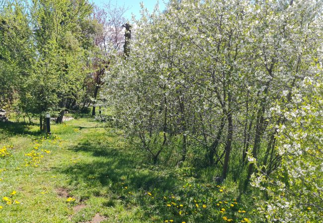 Apartamento en San Carlos de Bariloche - Casita Blanca - CON WIFI! Apartamento en San Carlos de Bariloche - Casita Blanca - CON WIFI!