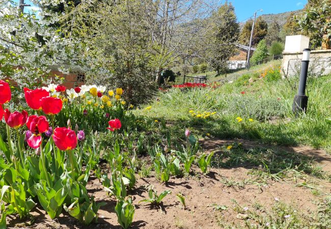 Apartamento en San Carlos de Bariloche - Casita Blanca - CON WIFI! Apartamento en San Carlos de Bariloche - Casita Blanca - CON WIFI!