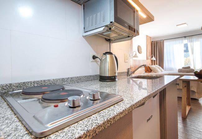 Estudio en San Carlos de Bariloche - ABEDUL departamento en pleno centro Estudio en San Carlos de Bariloche - ABEDUL departamento en pleno centro