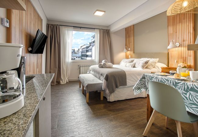 Estudio en San Carlos de Bariloche - ROSA MOSQUETA a pasos de la calle Mitre Estudio en San Carlos de Bariloche - ROSA MOSQUETA a pasos de la calle Mitre