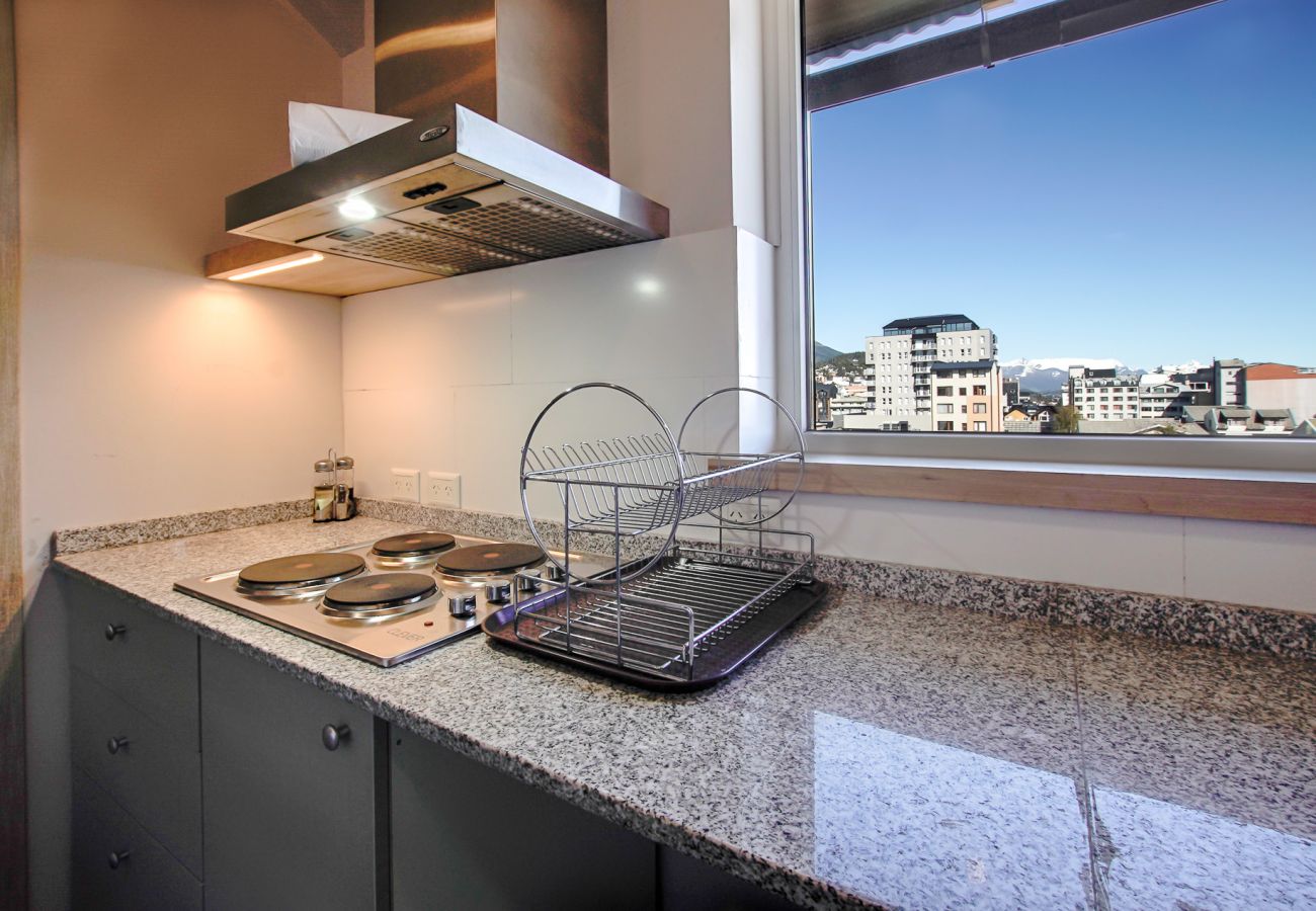 Apartamento en San Carlos de Bariloche - MONTAÑA departamento coon vista al lago