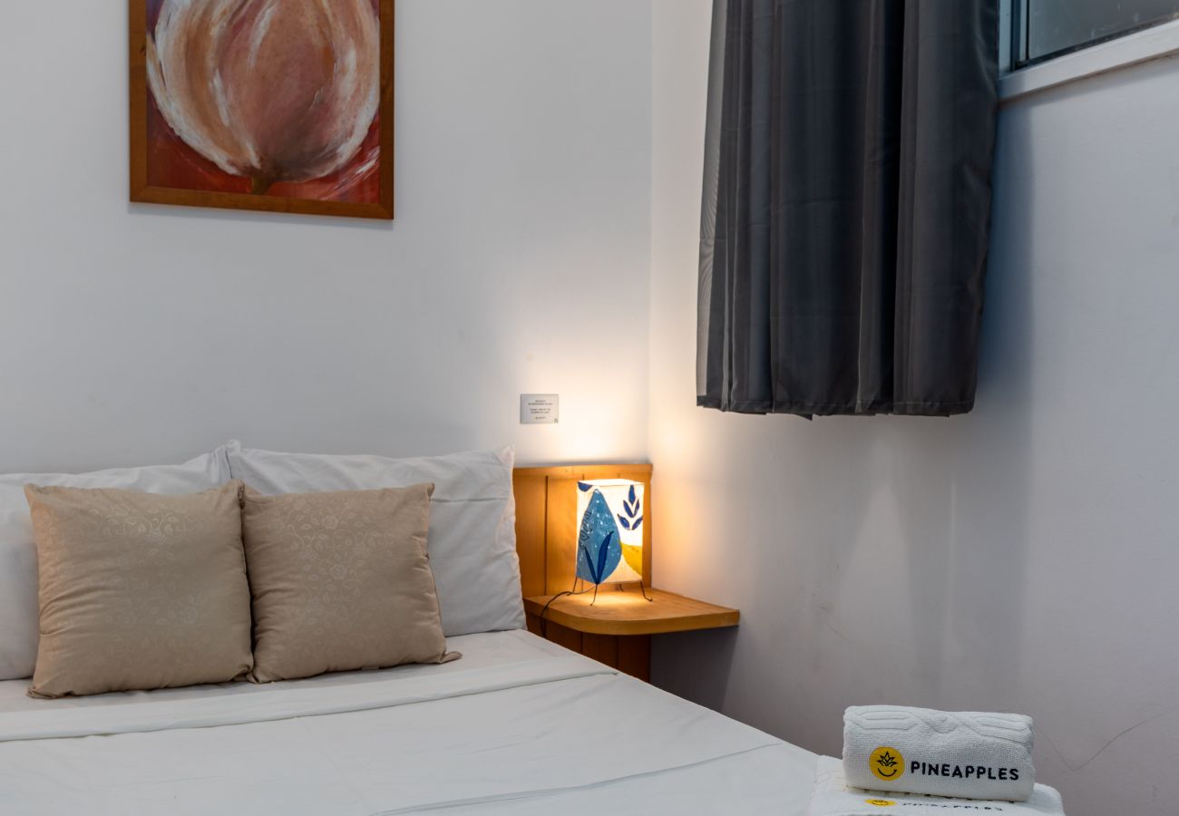 Apartamento en Rio de Janeiro - BRX1005 (Zona4)