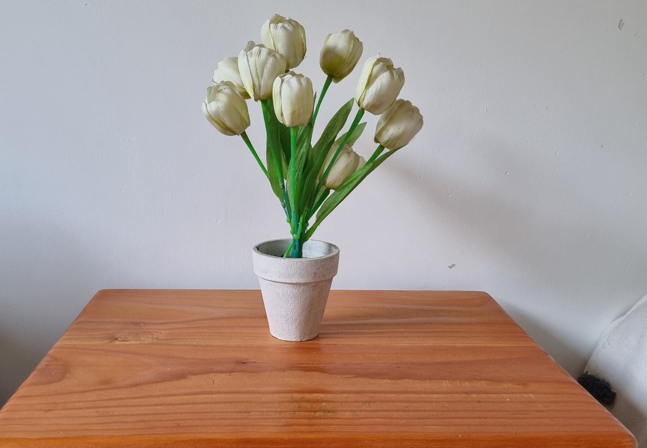 Apartamento en San Martin de los Andes - Del Bosque 3 - AndarLibre