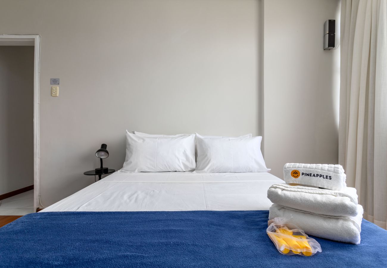 Apartamento en Rio de Janeiro - AP1302 (Zona1)